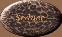 to seduction page